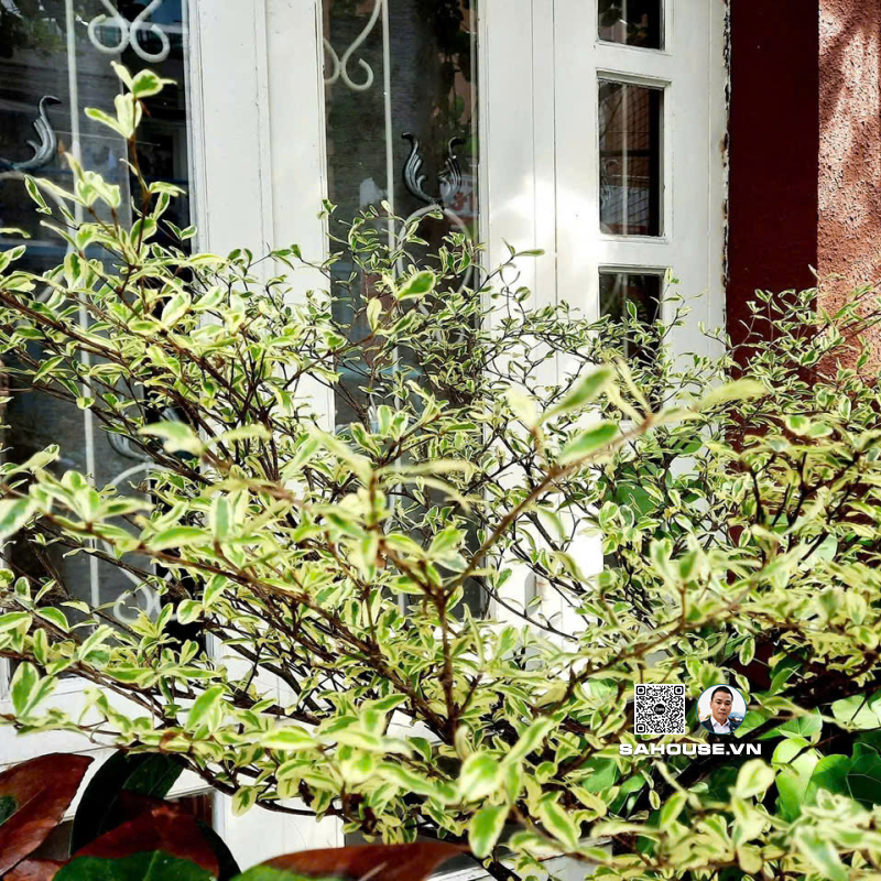 Bán nhà: 18 đường số 11, Phường Tân Phú, Quận 7